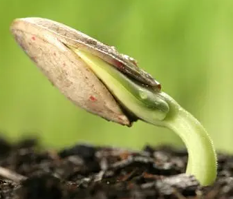 土壤硒檢測