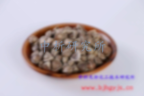 辣木檢測(cè)