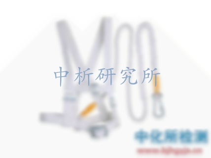 安全帶檢測