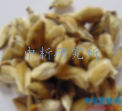 辛夷檢測