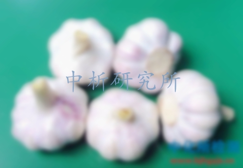大蒜檢測(cè)