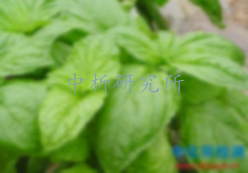 生物堿檢測