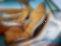 汽車內(nèi)飾檢測