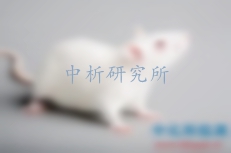 動物實驗