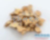 蒼術(shù)檢測