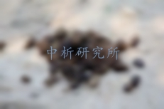 糞便檢測(cè)