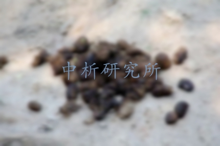 糞便檢測(cè)