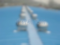 風帽檢測