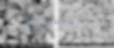 電極材料檢測