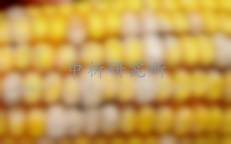 伏馬菌素檢測
