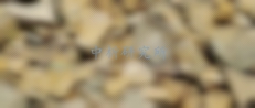 同位素檢測