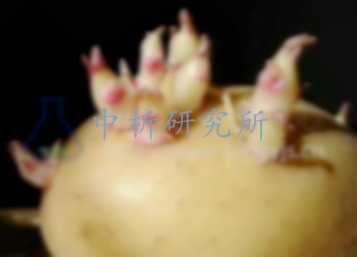龍葵堿檢測,龍葵堿定性檢測