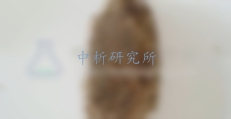 花生餅檢測(cè),花生餅檢測(cè)報(bào)告