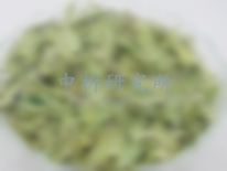 羅布麻檢測(cè),羅布麻藥典檢測(cè)