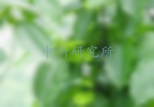 金錢柳檢測,金錢柳檢測報(bào)告