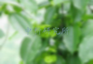 金錢柳檢測,金錢柳檢測報(bào)告
