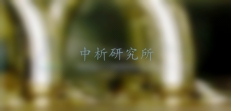 錫須檢測,錫須檢測報告