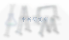 便攜式金屬梯檢測