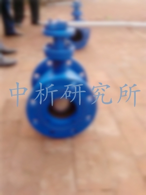半球閥檢測