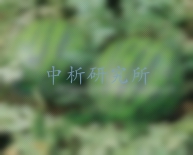地理標志產品檢測