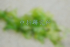 海藻檢測