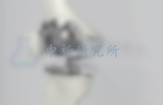 人工關節檢測