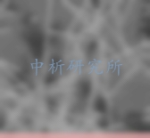 晶須檢測