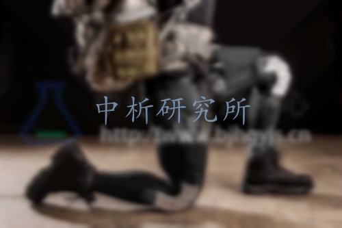 外骨骼檢測