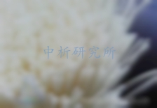 中空纖維膜檢測(cè)
