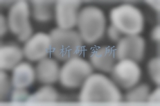 球形石墨檢測